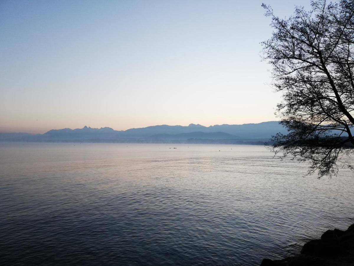Homestay Du Leman Sciez
